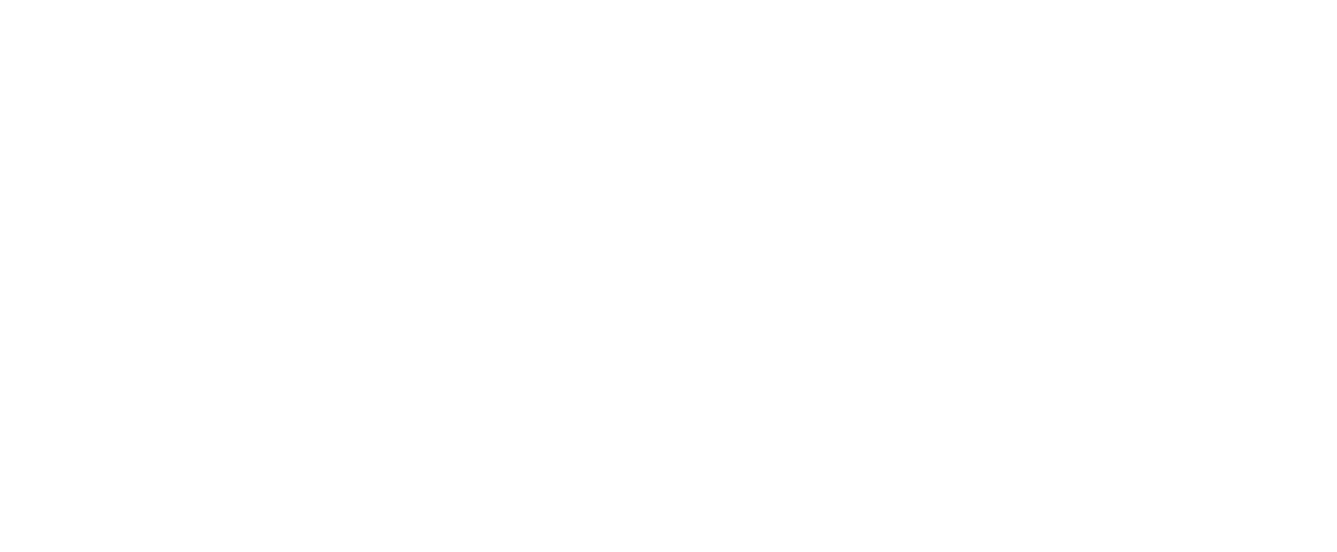 Lifewinner logo